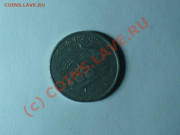 кому знакомы эти яблоки 1997!!! - P1010187.JPG