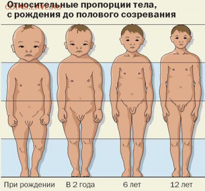 Кто признает - что за балабаха? - 69906ab79746