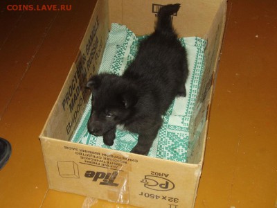 Флешка! - Ф00 - 21 ноября 2007.JPG
