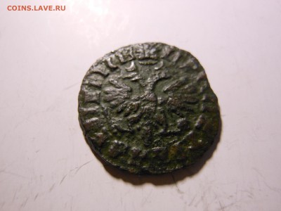 Денга 1713 Петр I в сохране до 16.10.2014 г. в 23.00 мск - DSCN7126[1].JPG