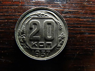 20 копеек 1937 Красивая - DSC00384.JPG