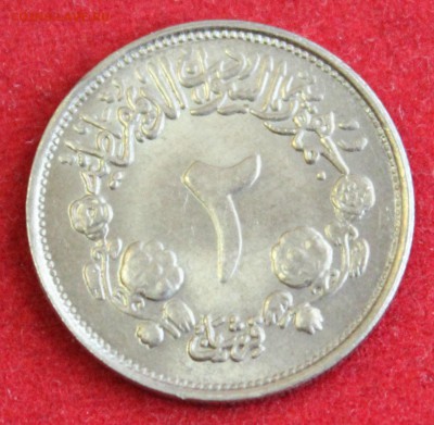 СУДАН 2 гирша 1976г. до 17.10.14г. в 22-00 - IMG_1739.JPG