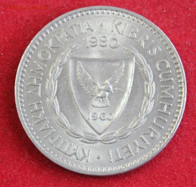 КИПР 100 мил 1980г. КОЗЁЛ. В БЛЕСКЕ.  до 17.10.14г. в 22-00 - IMG_1769.JPG