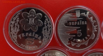 Украина - юбилейка - 2003 год (5 монет) до 15.10.2014г 22-00 - DSC01047.JPG