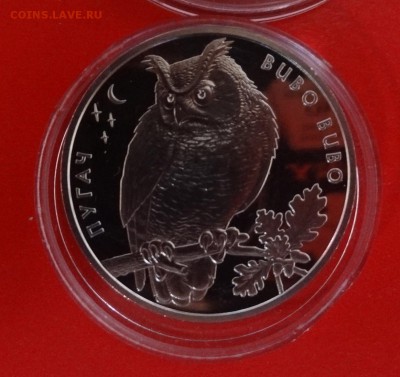 Украина - юбилейка -2002 год (4 монеты) до 15.10.2014г 22-00 - DSC01053.JPG