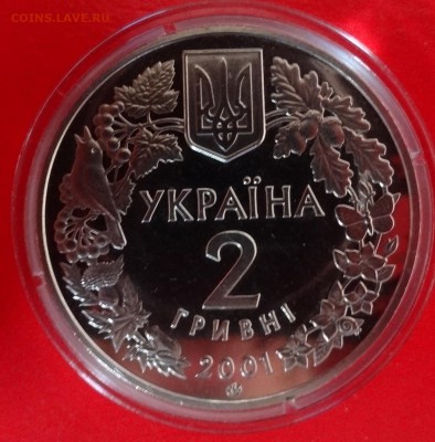 Украина - Рысь - 2001 год до 15.10.2014г 22-00 - DSC01071.JPG