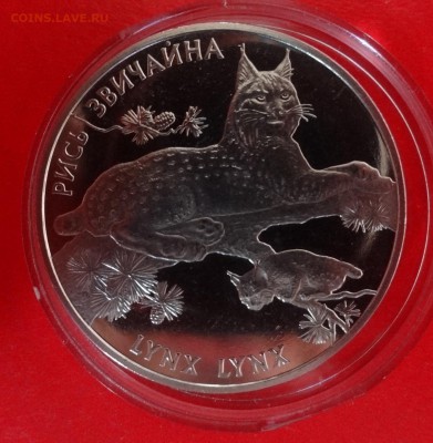 Украина - Рысь - 2001 год до 15.10.2014г 22-00 - DSC01070.JPG