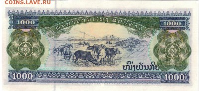 ЛАОС 1000 КИПОВ 2003 ДО 16.10.14 В 22.00МСК (9283) - 1-1лаос1000
