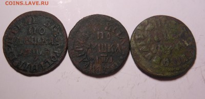 3 шт. медь Полушки Петра I опознание и предпродажная, спрос - DSCN7132