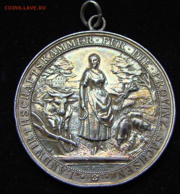 Настольные Медали 19-20 в. Германия, Россия Австрия, Франция - DSC01433.JPG