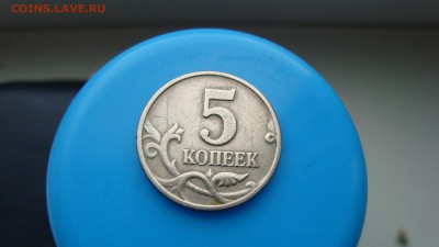 б! - DSC09914.JPG