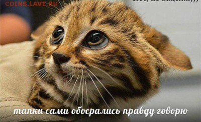 юмор - u1j_AzMMsdQ