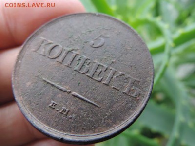 5 копеек 1831 год ЕМ МАСОН - DSCN1419