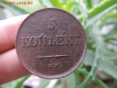 5 копеек 1831 год ЕМ МАСОН - DSCN1418