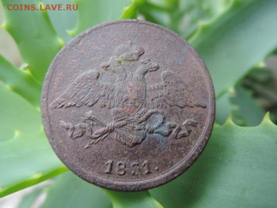 5 копеек 1831 год ЕМ МАСОН - DSCN1417