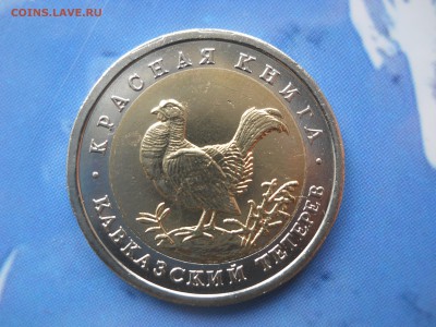 КК Кавказский тетерев, с 200 рублей, до 17.10.14, короткий! - DSCN2138.JPG
