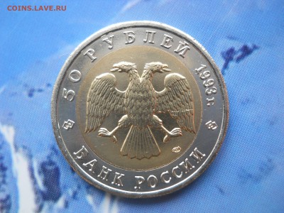 КК Кавказский тетерев, с 200 рублей, до 17.10.14, короткий! - DSCN2140.JPG