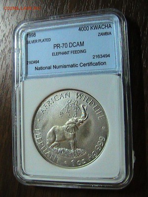 Замбия 4000 квача 1998 Слон в слабе до 20.10 в 22ч (А17) - IMG_1927.JPG