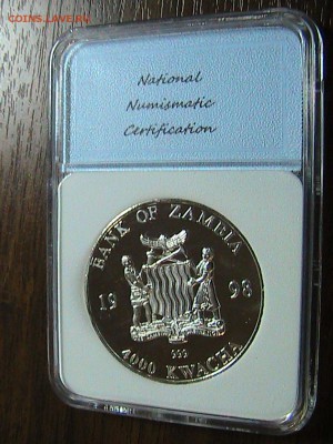 Замбия 4000 квача 1998 Слон в слабе до 20.10 в 22ч (А17) - IMG_1928.JPG
