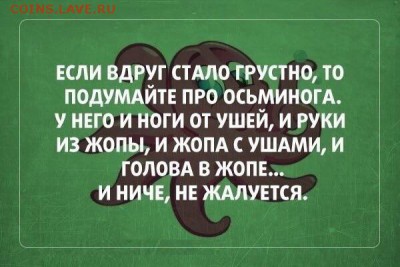 делает - прямо сейчас !!! - image