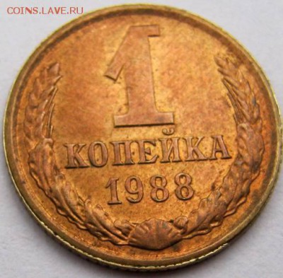 Копейка 1988 г.- меднокрасная... - IMG_1330