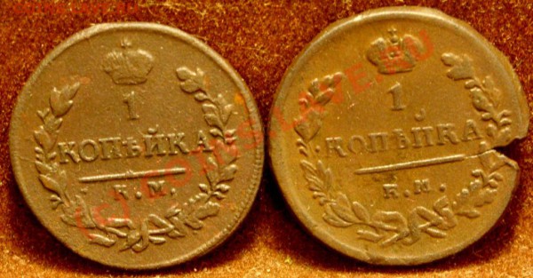 Имперская медь до 22.04.10 в 21-00вм - SN854327.JPG