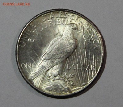 1 доллар США 1925 Мир Коллекционная красотка до 20.10 - 1925 2.JPG