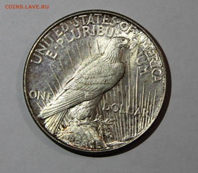 1 доллар США 1922 Мир хорошая до 20.10 - 1922 2.JPG