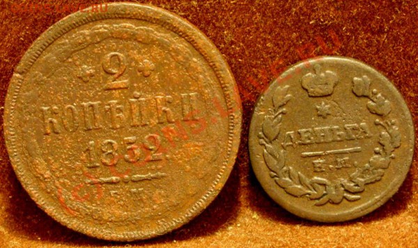 Имперская медь до 22.04.10 в 21-00вм - SN854333.JPG