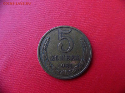 5 копеек 1981 года - P1090211.JPG