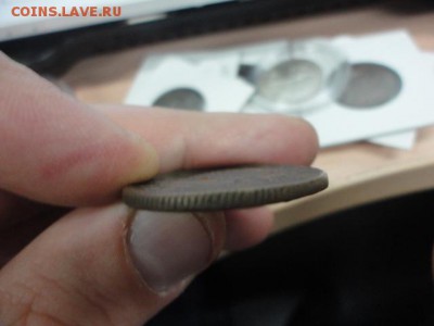 8 шт. Сибирь, оценка - DSC03617.JPG