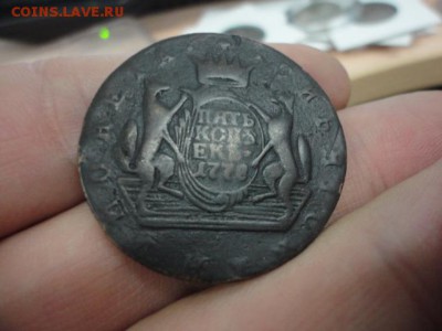 8 шт. Сибирь, оценка - DSC03611.JPG