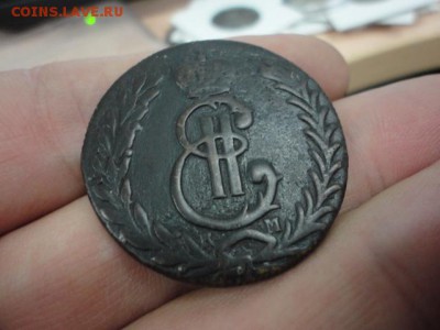8 шт. Сибирь, оценка - DSC03612.JPG