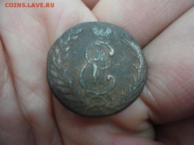 8 шт. Сибирь, оценка - DSC03632.JPG