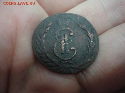 8 шт. Сибирь, оценка - DSC03626.JPG