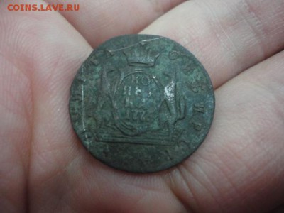 8 шт. Сибирь, оценка - DSC03634.JPG