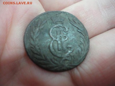 8 шт. Сибирь, оценка - DSC03635.JPG