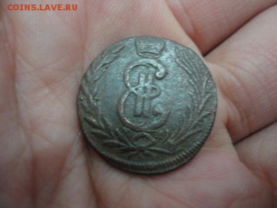 8 шт. Сибирь, оценка - DSC03623.JPG