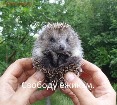 Ну а теперь про Украину - MEGJYQbg3Bo