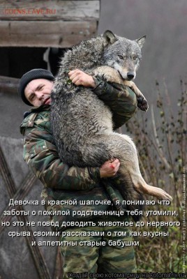 юмор - kotomatritsa_QL