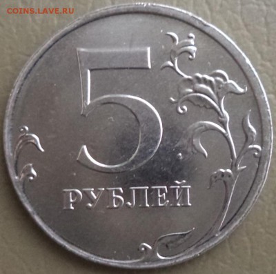 5 р 2013г - "тощая". - 5 13 1.JPG