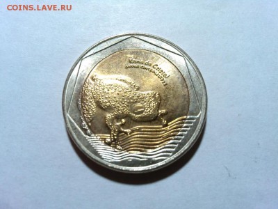 Колумбия 500песо, лягушка, до 22.10.14 - IMG_20141013_223611