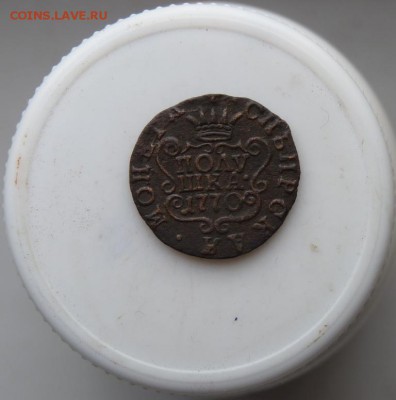 полушка 1770 сибирка до 22.10 - P1090365.JPG