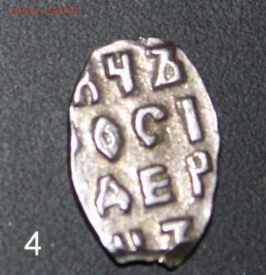 Чешуя на определение и оценку - 4.JPG