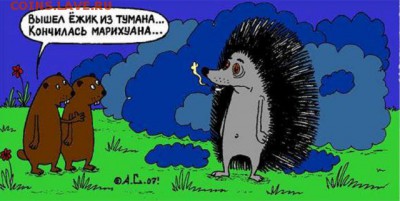 Ну а теперь про Украину - s3img_35148087_4003_1