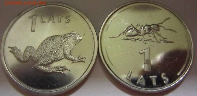 1 лат "Муравей" и "Жаба". - IMG_4818.JPG