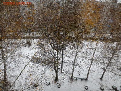 делает - прямо сейчас !!! - IMG_3187.JPG
