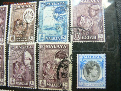 Марки МАЛАЙИ с ТИГРИКАМИ (Ранний  Сингапур) - P1970990.JPG