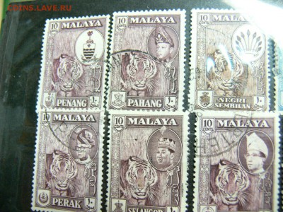 Марки МАЛАЙИ с ТИГРИКАМИ (Ранний  Сингапур) - P1970989.JPG