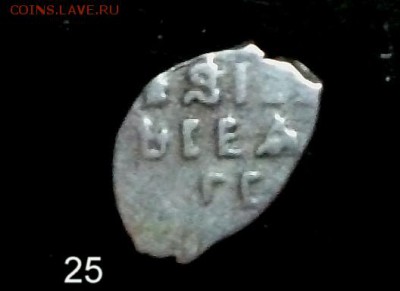 Помощь в определении чешуек - 25..JPG